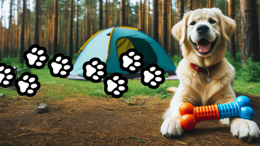 Ultimate Guide to Camping with Your Dog: Essentials for a Pawsome Adventure