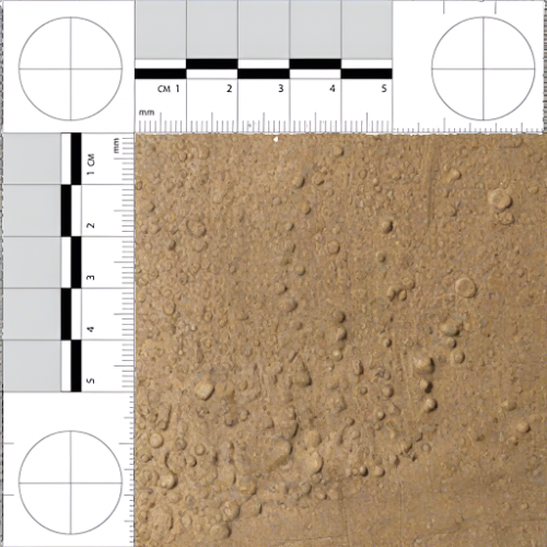 Evidence Collection - Sirchie Forensic Scale 105mm X 105mm