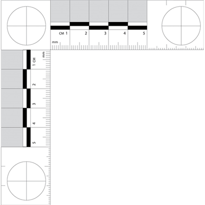 Evidence Collection - Sirchie Forensic Scale 105mm X 105mm